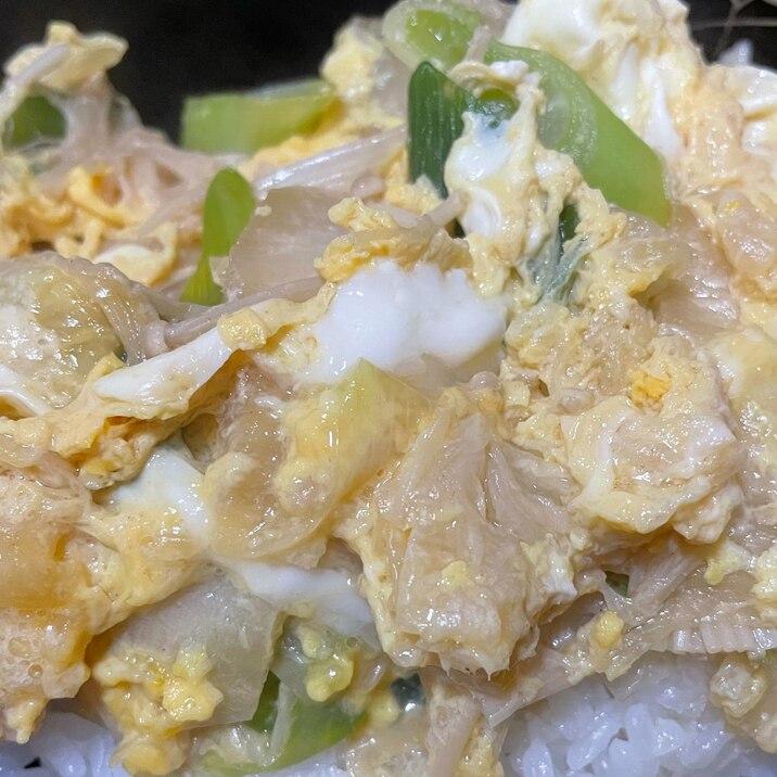 白菜と長ネギとえのきの甘辛卵とじ丼